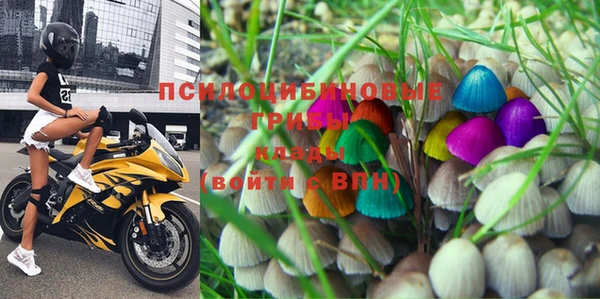 спиды Нефтекумск
