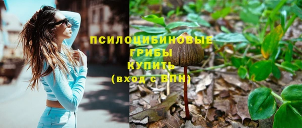 дмт Нея