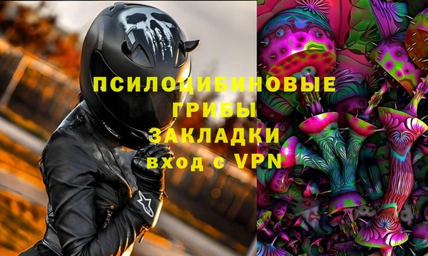 спиды Нефтекумск