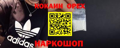 прущие грибы Лесосибирск