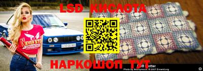 прущие грибы Лесосибирск