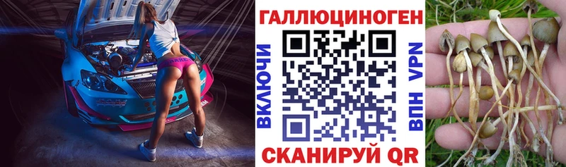 блэк спрут онион  даркнет сайт  Сатка  Галлюциногенные грибы Cubensis 